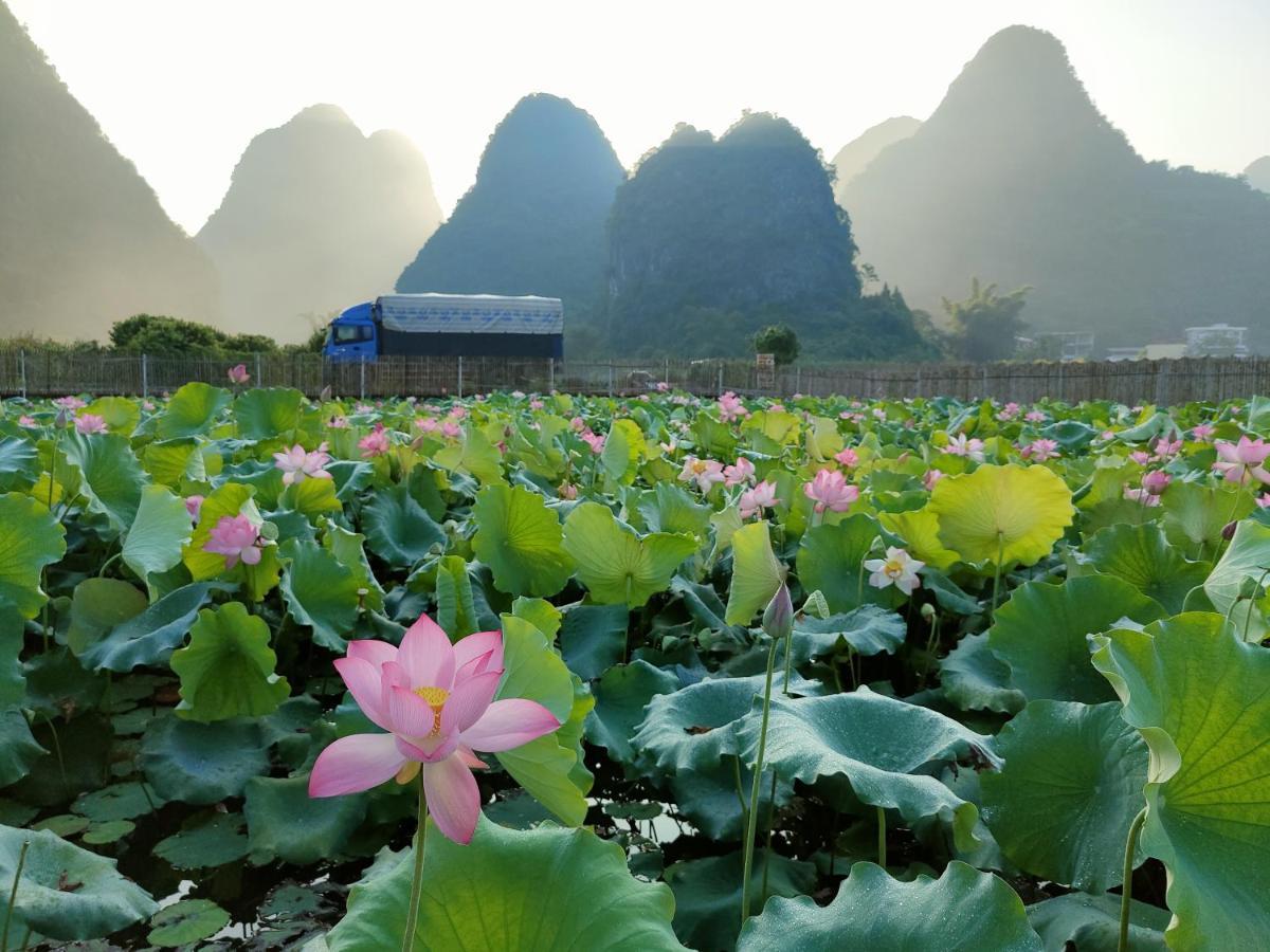 Affittacamere Yangshuo Tea Cozy--One Way Free Pick Up From Airport Or Ts 4 Nights Esterno foto