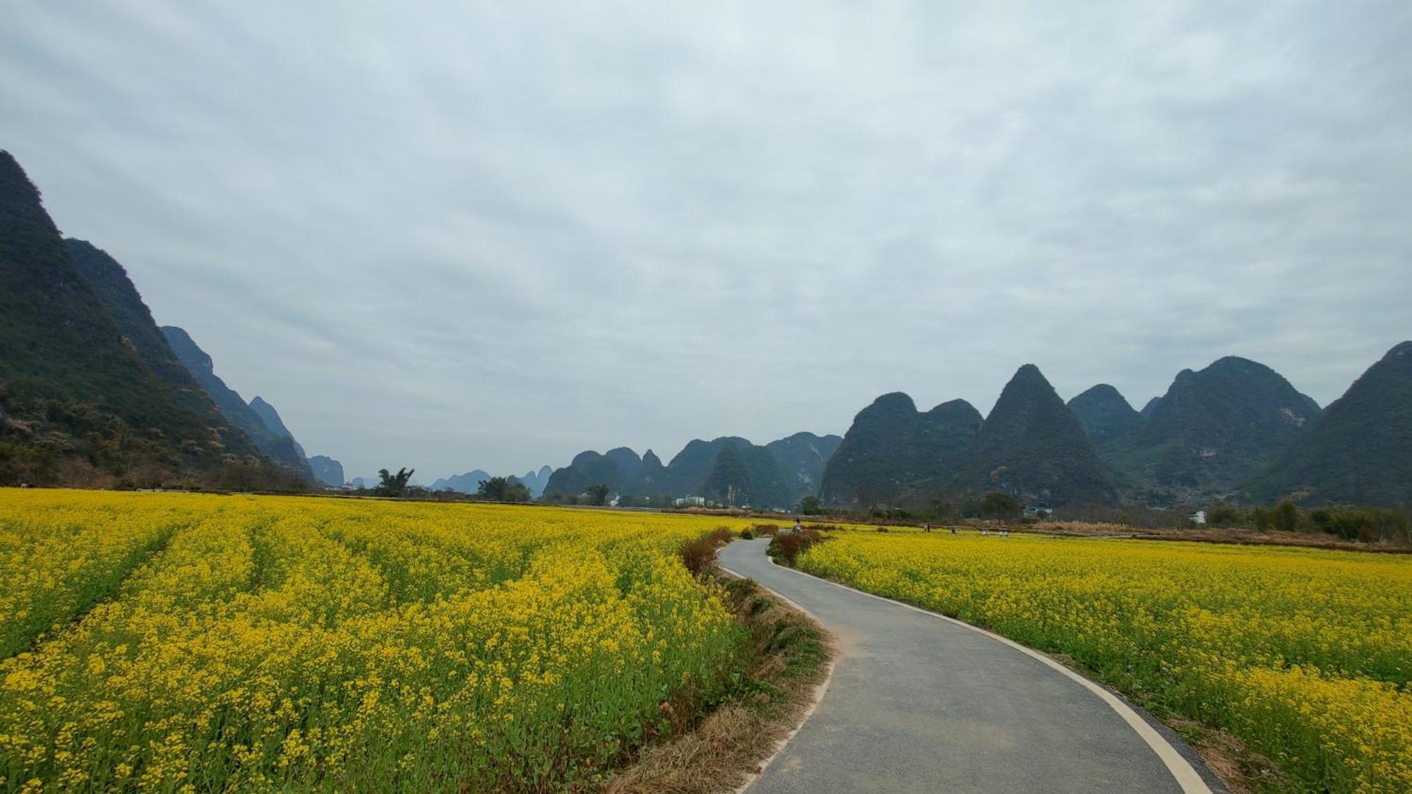Affittacamere Yangshuo Tea Cozy--One Way Free Pick Up From Airport Or Ts 4 Nights Esterno foto