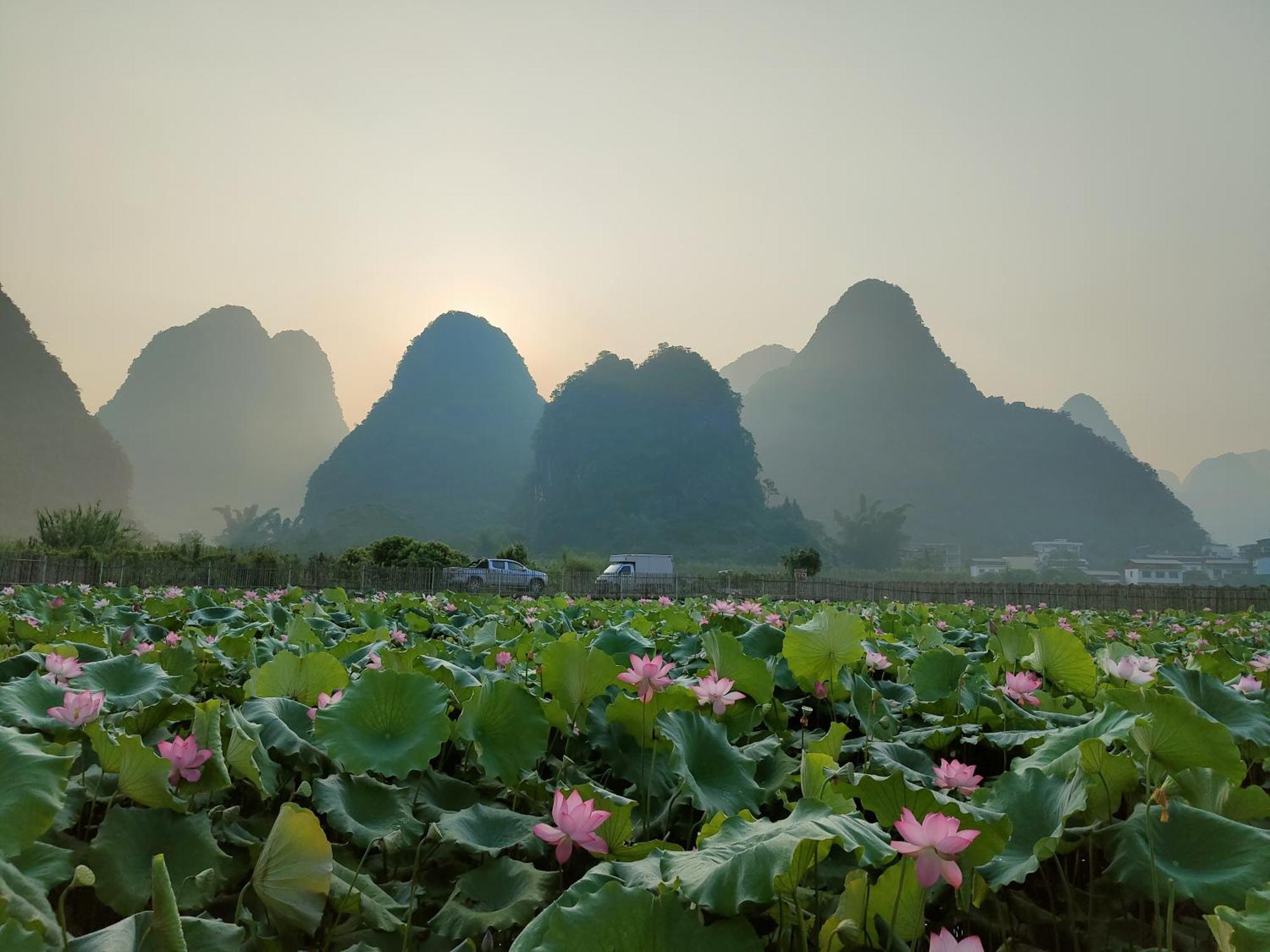 Affittacamere Yangshuo Tea Cozy--One Way Free Pick Up From Airport Or Ts 4 Nights Esterno foto